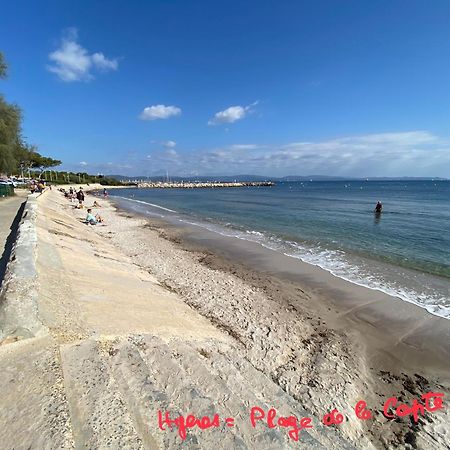 Villa Lou Gecko Hyères المظهر الخارجي الصورة